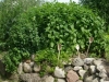 Kräuterspirale