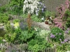 Blauer Garten