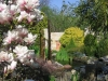 lindenthal077