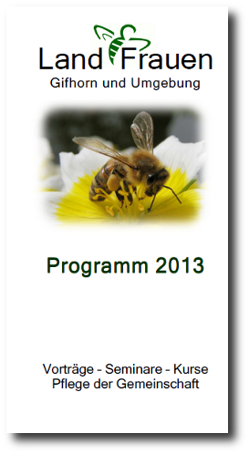 LFV Programm-2013